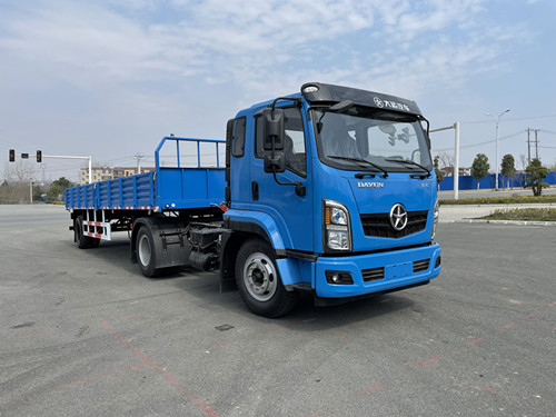 大運天誠國六a2教練車圖片